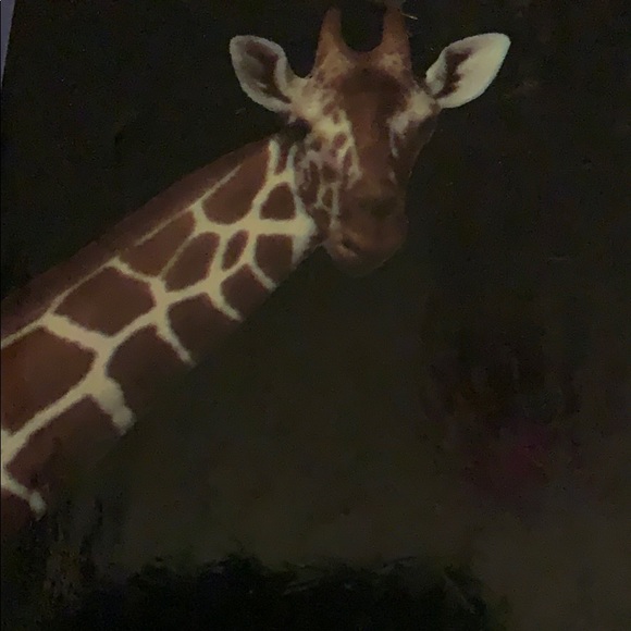 Meet your Posher, Meaghan - Picture 1 of 1